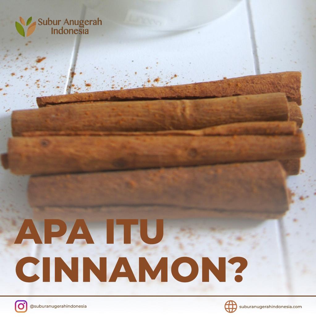 3f499b5d-faa8-4262-b1e3-b99e3fbdf423