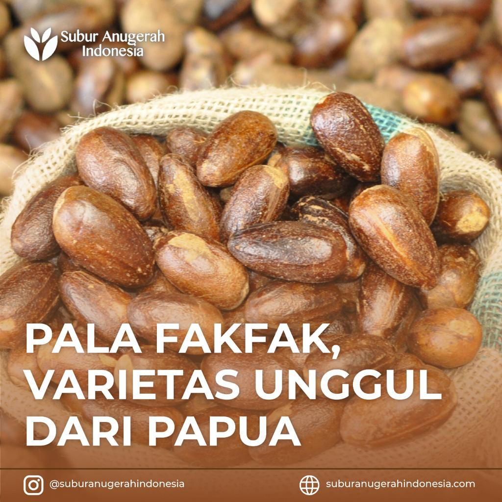 WhatsApp Image 2021-04-29 at 12.01.59 (3)