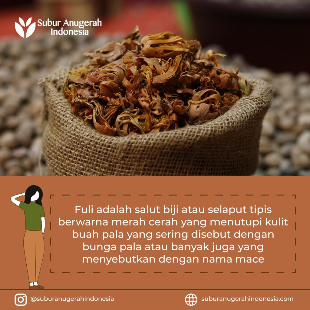 WhatsApp Image 2021-04-29 at 12.01.59 (1)