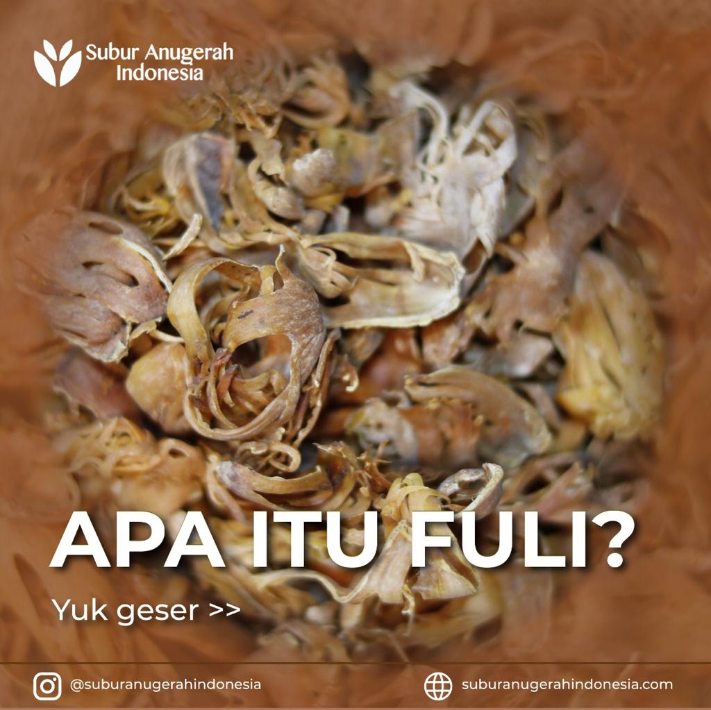 WhatsApp Image 2021-04-29 at 12.01.59