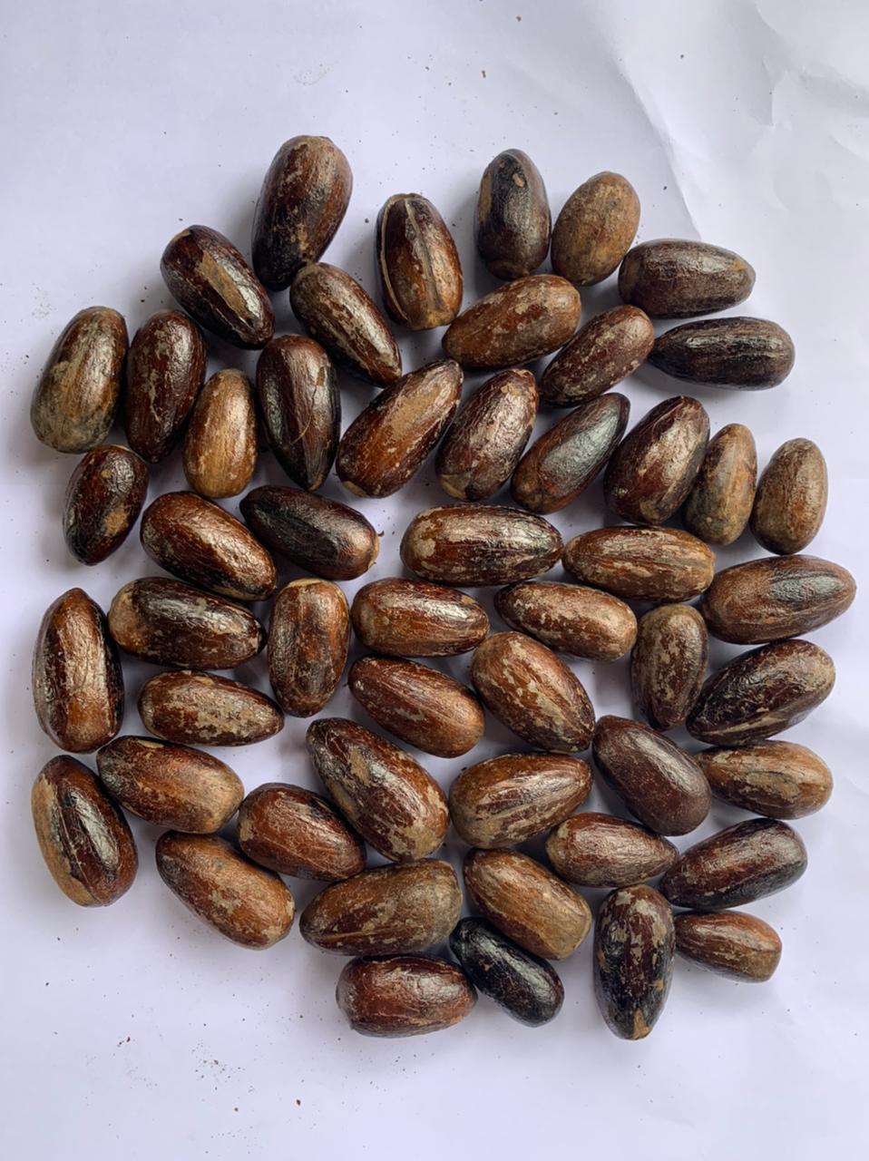 PHOTO-2021-04-29-12-00-57