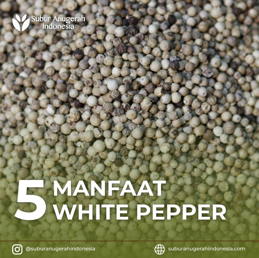 WhatsApp Image 2021-04-29 at 12.01.59 (2)