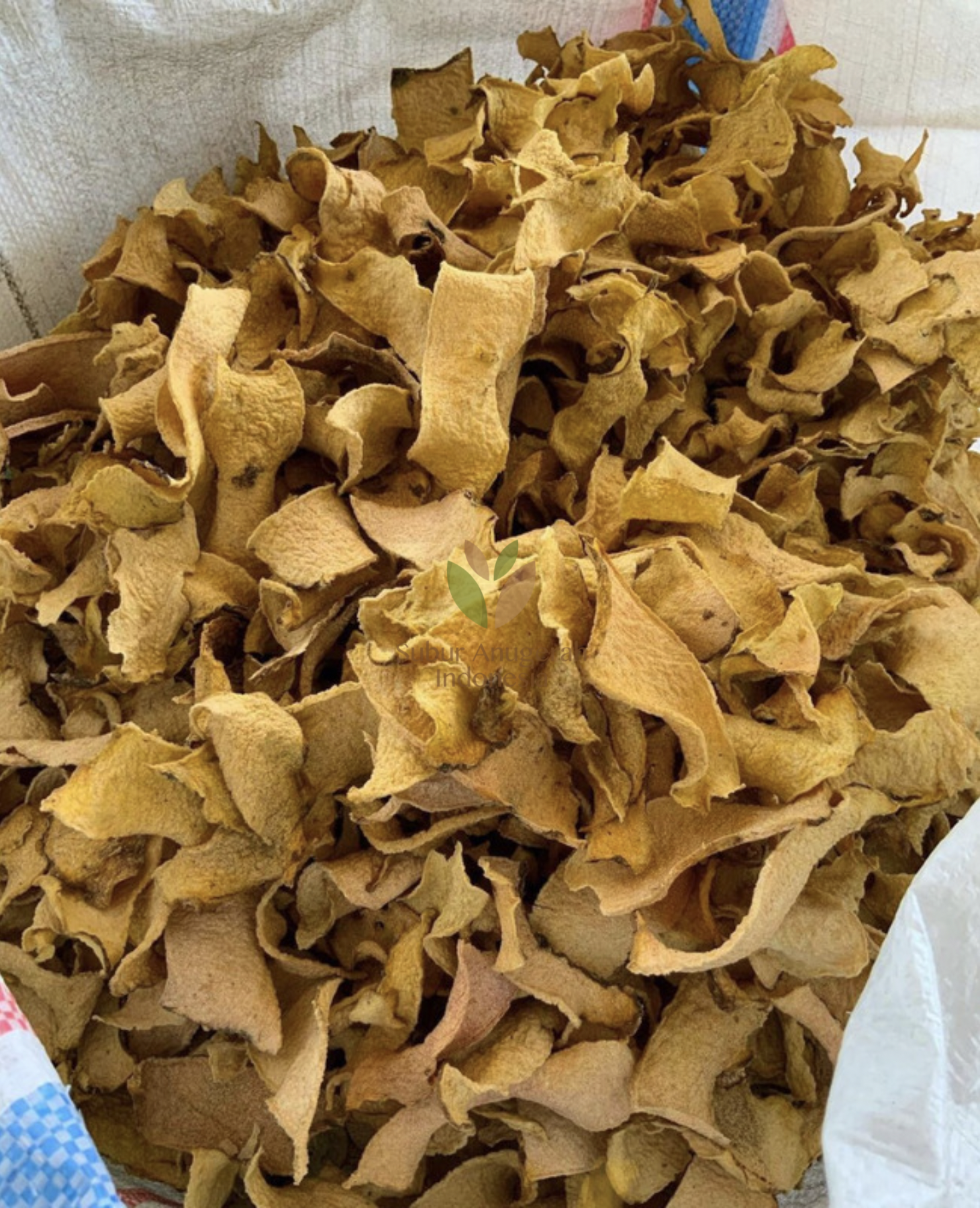 Screen Shot 2021-09-09 at 14.09.05